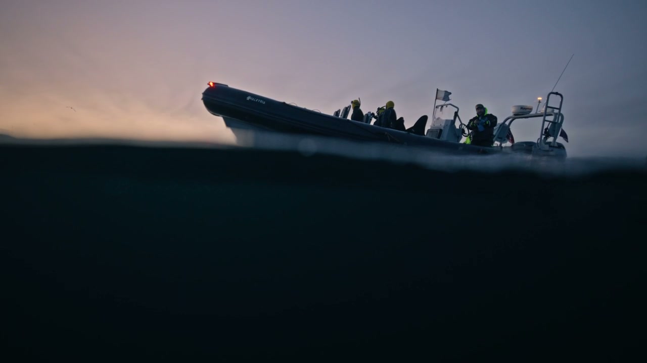 Arctic Boat Trip at Dusk Split View