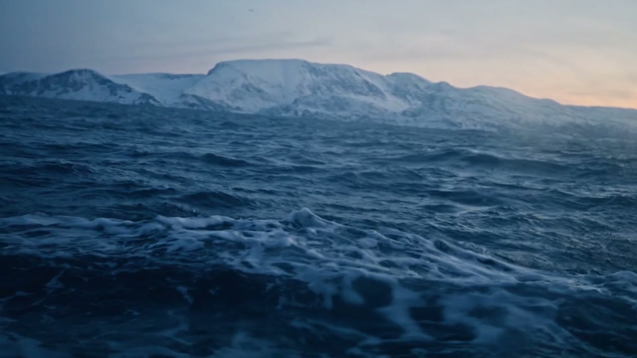 Arctic Ocean Waves and Snowy Mountains