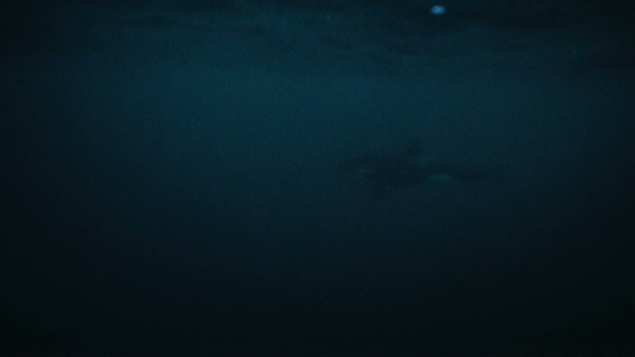 Orca Swimming in Dark Arctic Waters