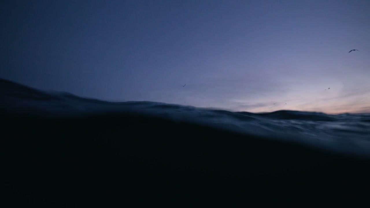 Ocean Surface Waves at Arctic Dawn