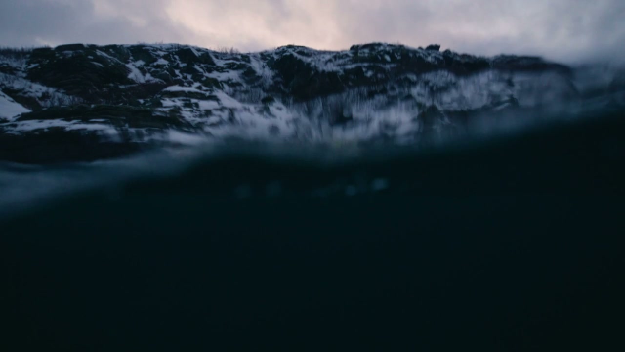 Arctic Sea Waves and Snowy Mountains