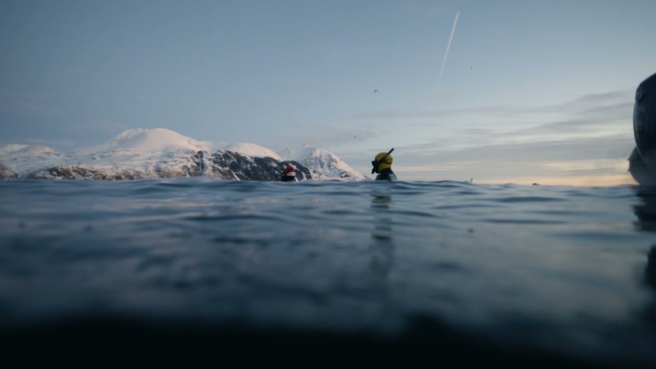 Freedivers in Cold Arctic Water, Norway