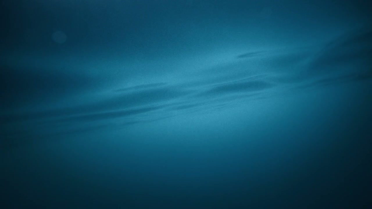 Underwater Light Reflections on Water Surface