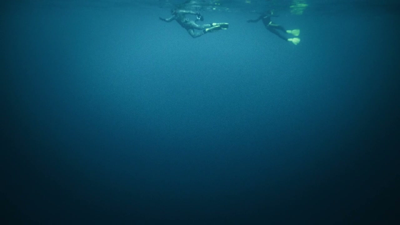 Two Freedivers Swimming on Water Surface