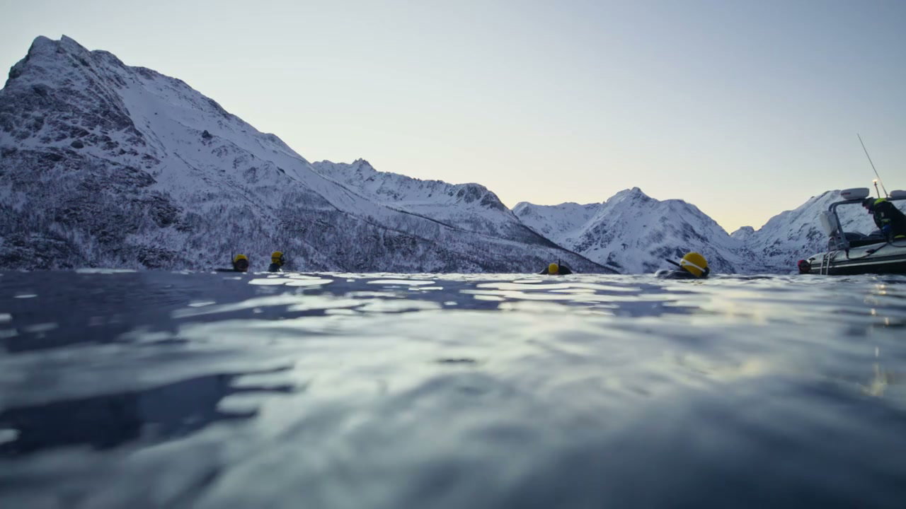 Over Under Shot of People Snorkeling in Fjord