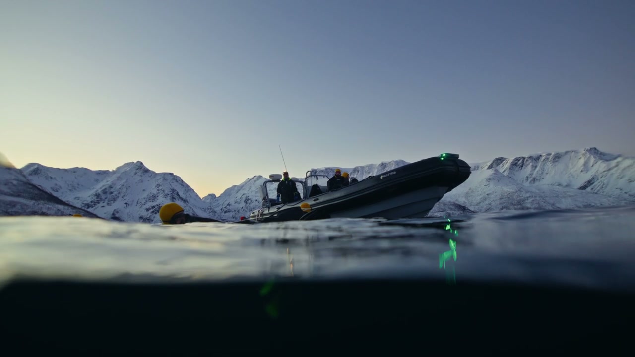 Split Level Divers in Arctic Fjord