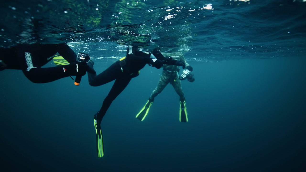 Three Divers Swimming in Arctic Waters