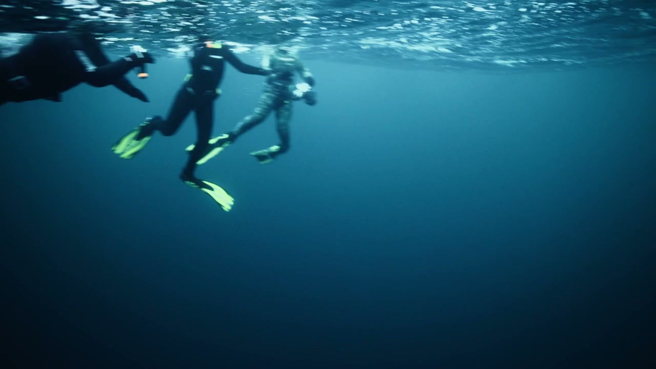 Snorkelers Swimming in Arctic Water
