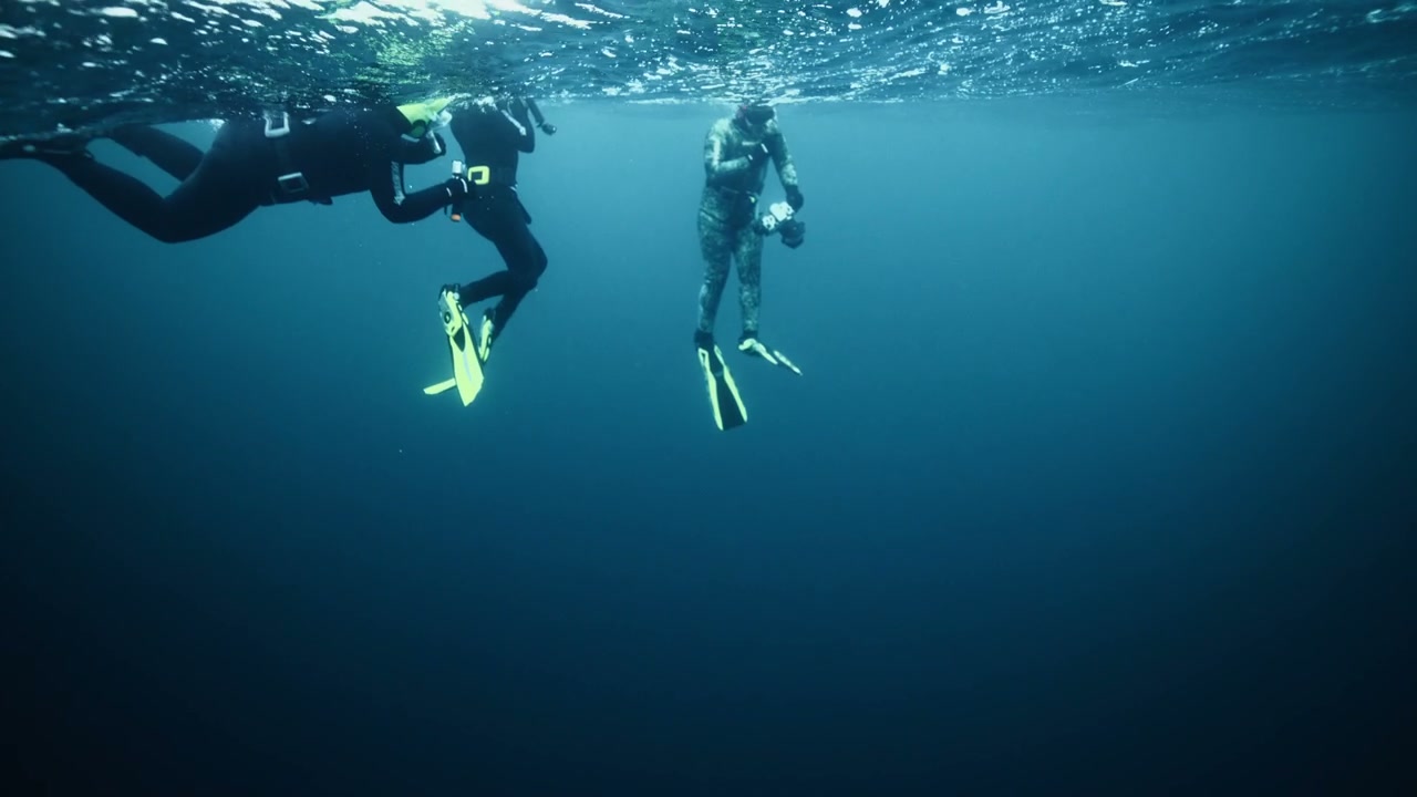 Three Freedivers Floating in Arctic Ocean
