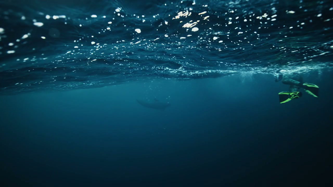 Freediver Swimming Alongside Whale Underwater