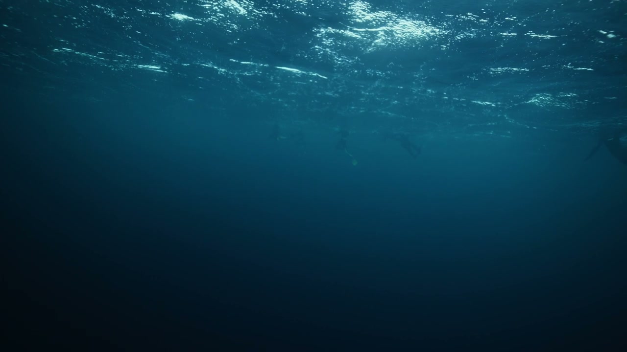 Underwater View of Swimmers Near Surface
