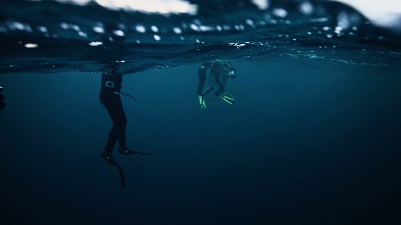 Divers in Wetsuits Floating on Water Surface