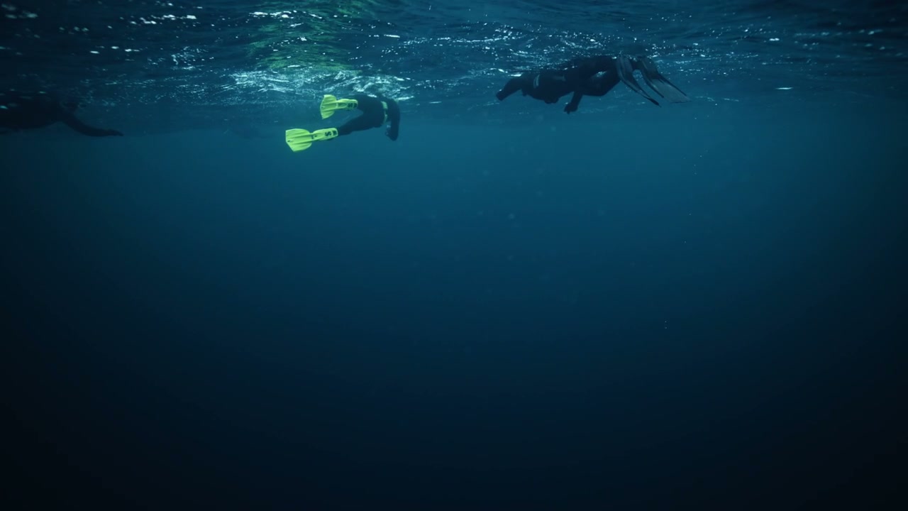 Swimmers in Wetsuits Under Cold Ocean Surface