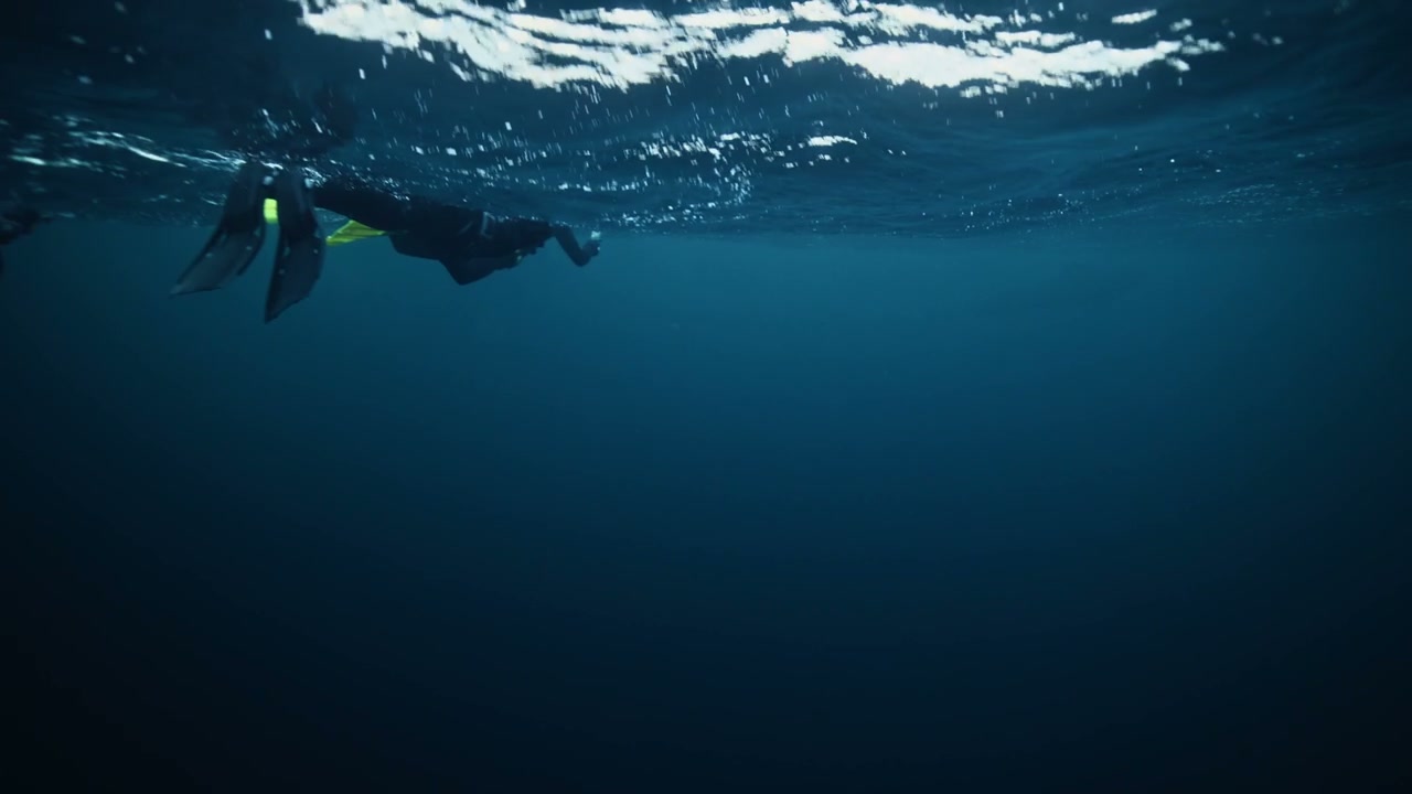 People Snorkeling in Cold Arctic Ocean