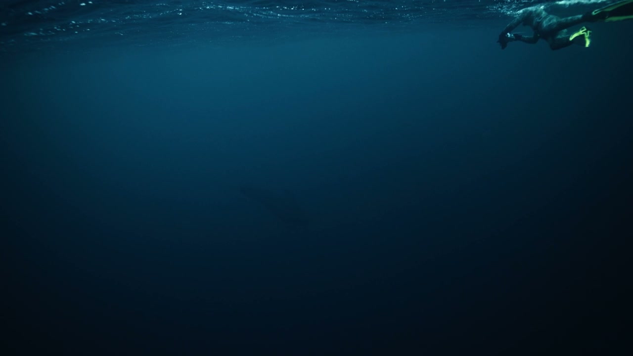 Snorkeler on Surface of Deep Arctic Ocean