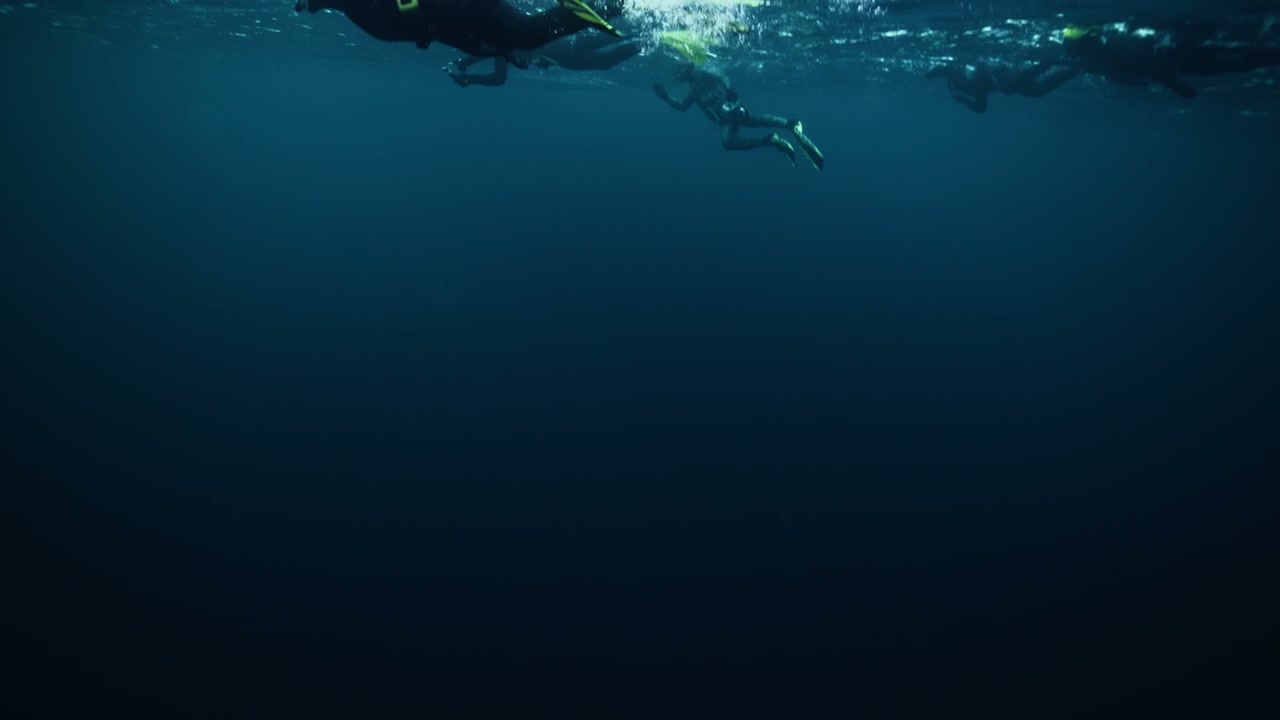 Group Snorkeling in Cold Ocean Water