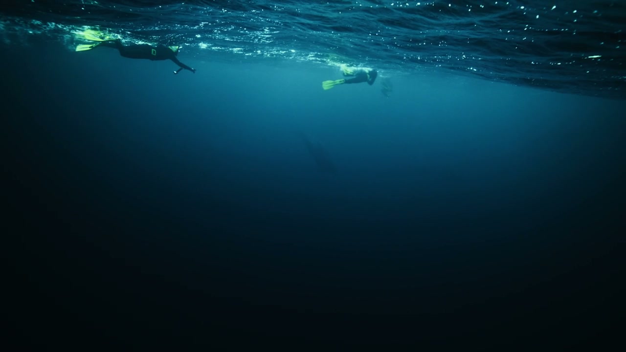 Underwater View of Swimmers in Arctic Ocean