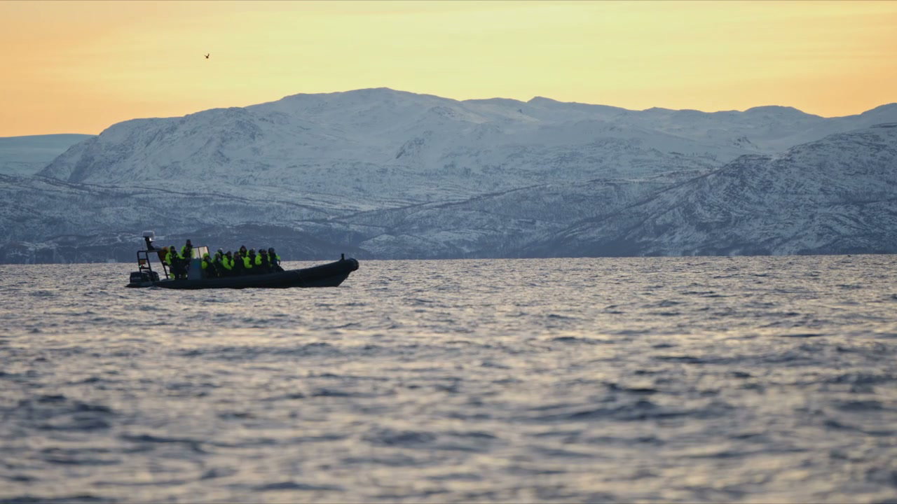 Tourist Boat on Arctic Fjord at Sunset