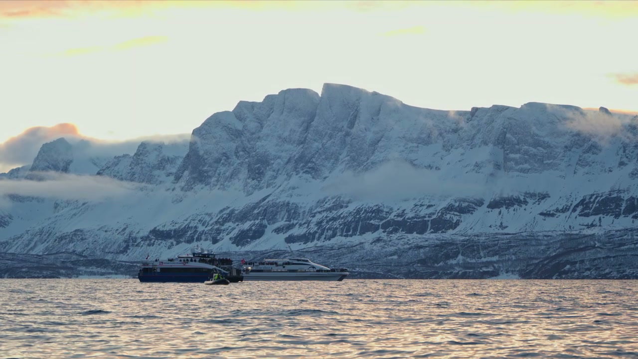 Norwegian Fjord Ferries and Snowy Mountains