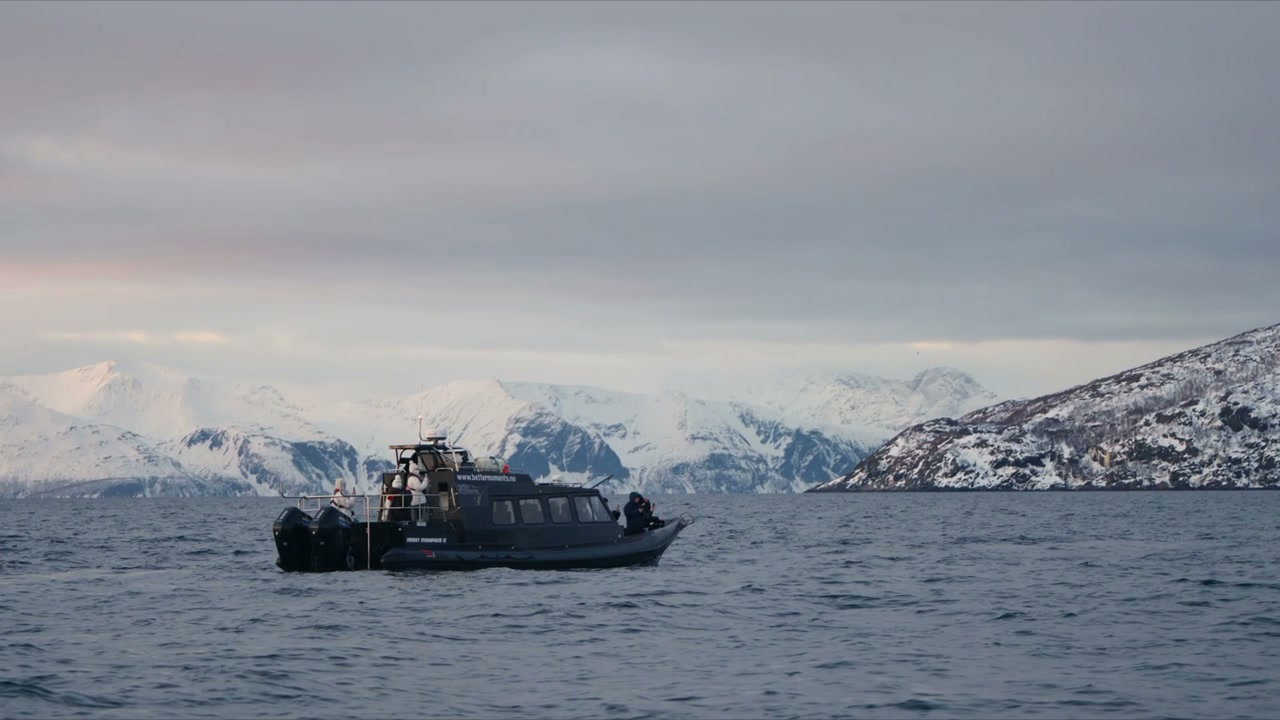 Boat Cruising Arctic Fjord and Snowy Mountains