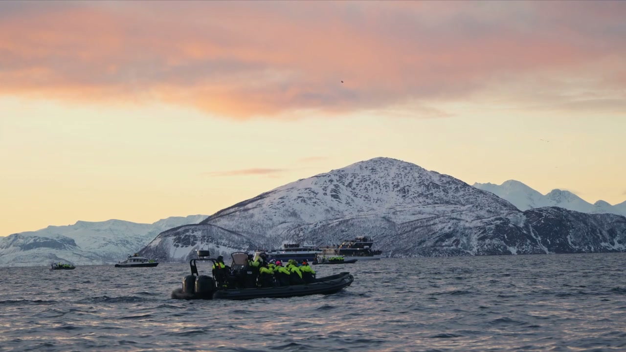 Arctic Fjord Boat Tour at Sunset