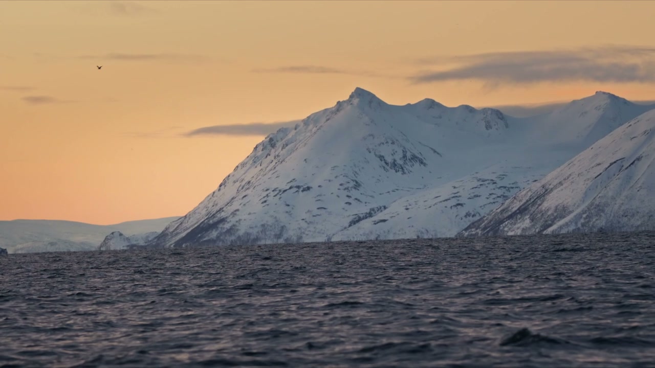 Snowy Mountains Over Fjord at Golden Hour
