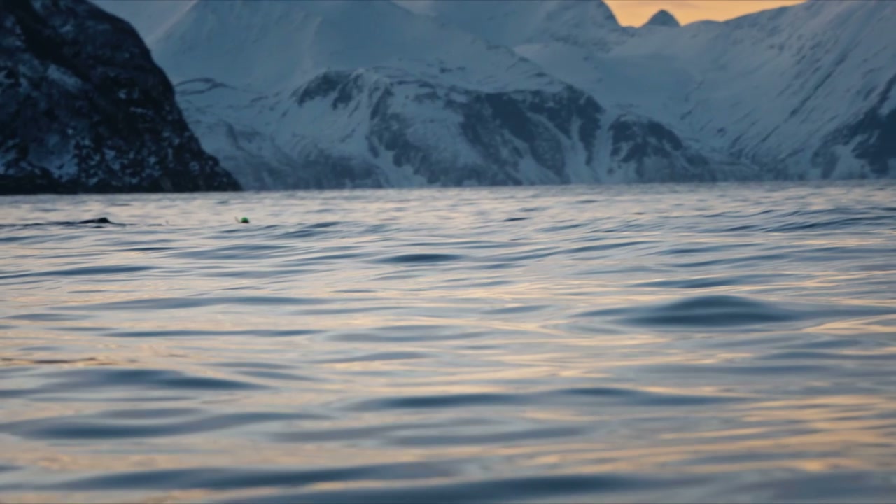 Cold Water Swimmers in Norwegian Fjord