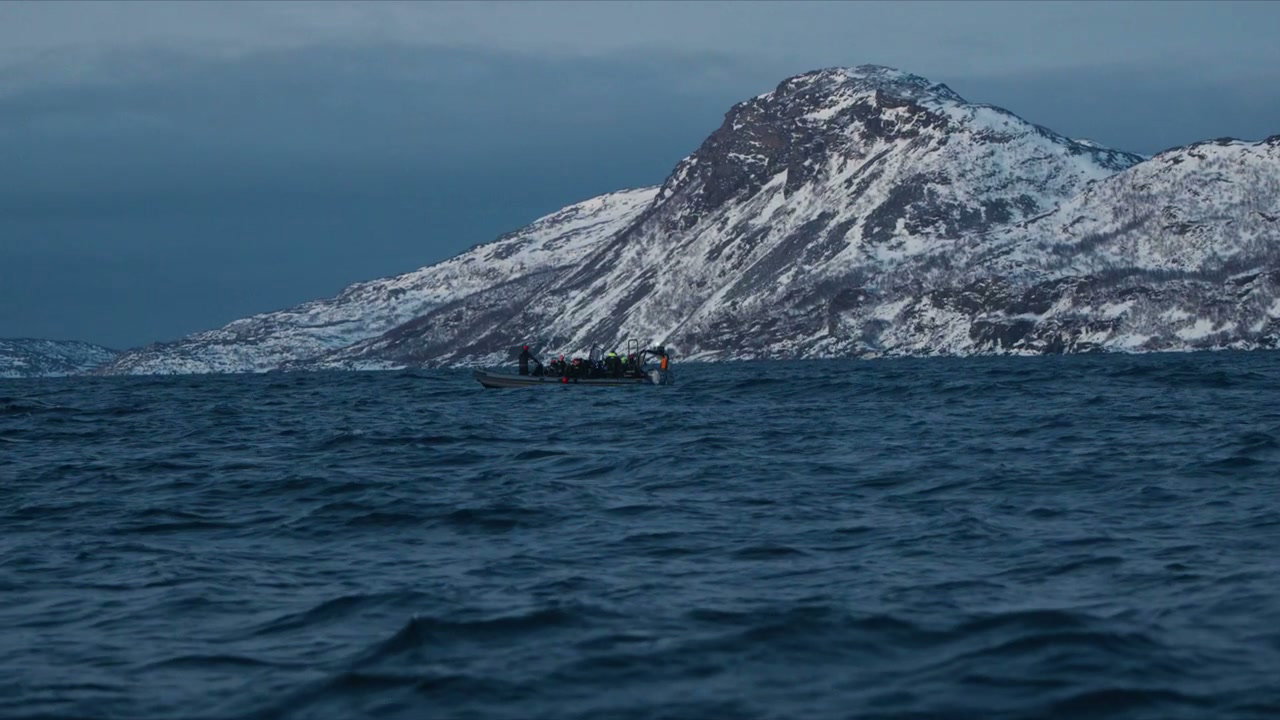 Whale Watching Boat in Arctic Fjord