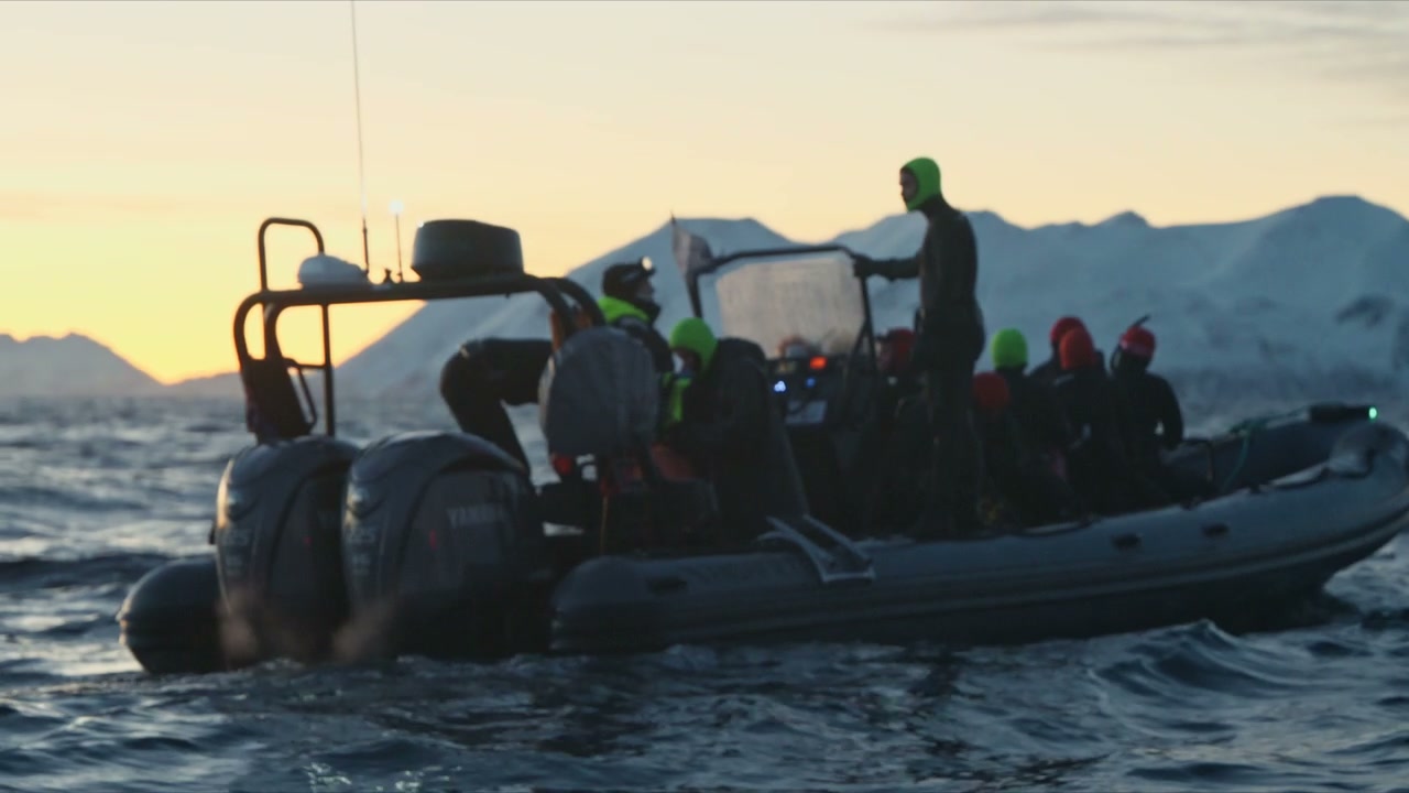 People on Boat in Arctic Sea During Golden Hour