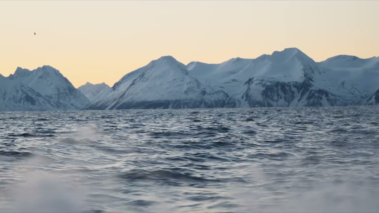 Arctic Sea and Snowy Mountains at Sunset