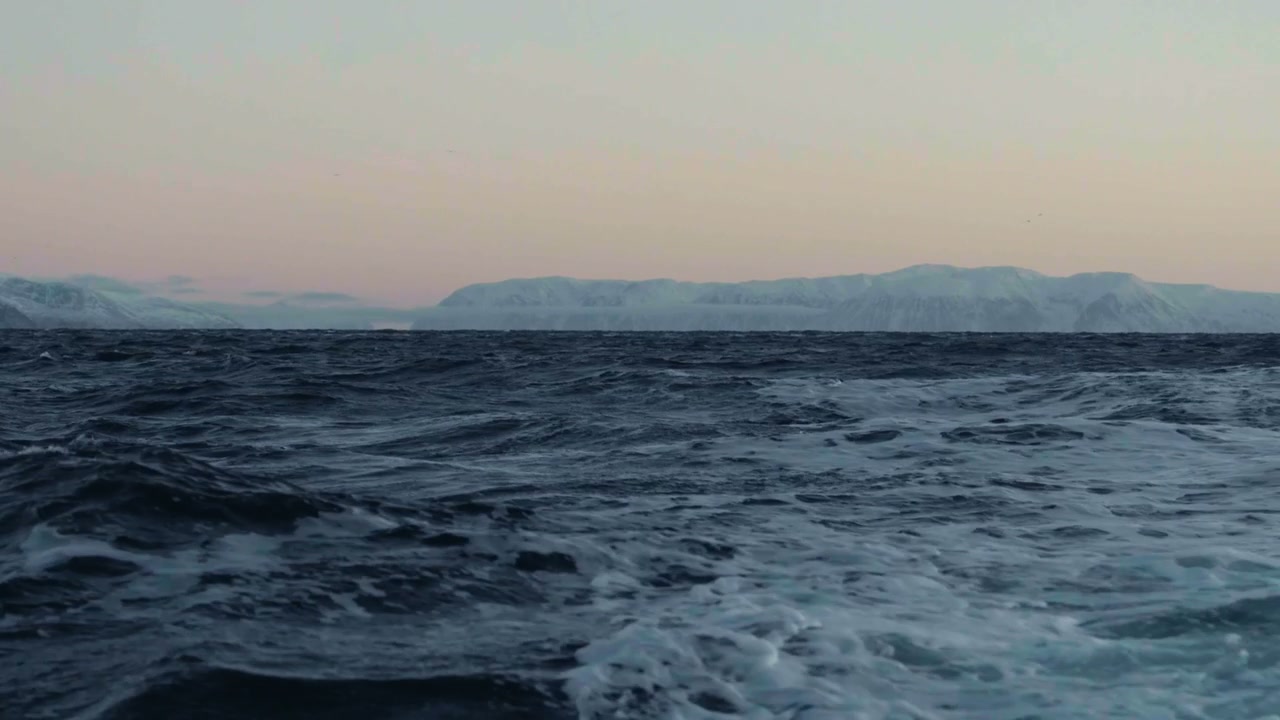 Rough Arctic Sea with Snowy Mountains