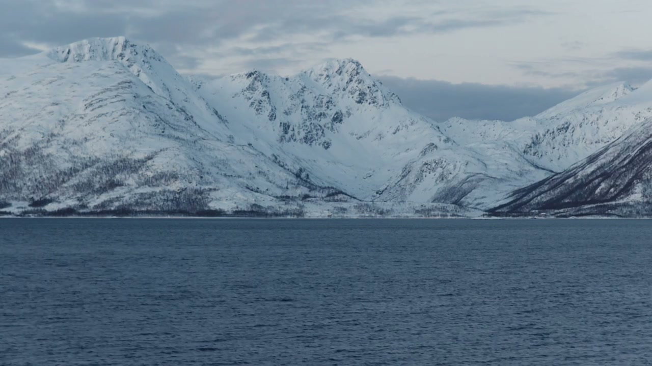 Norwegian Fjord and Snowy Mountains