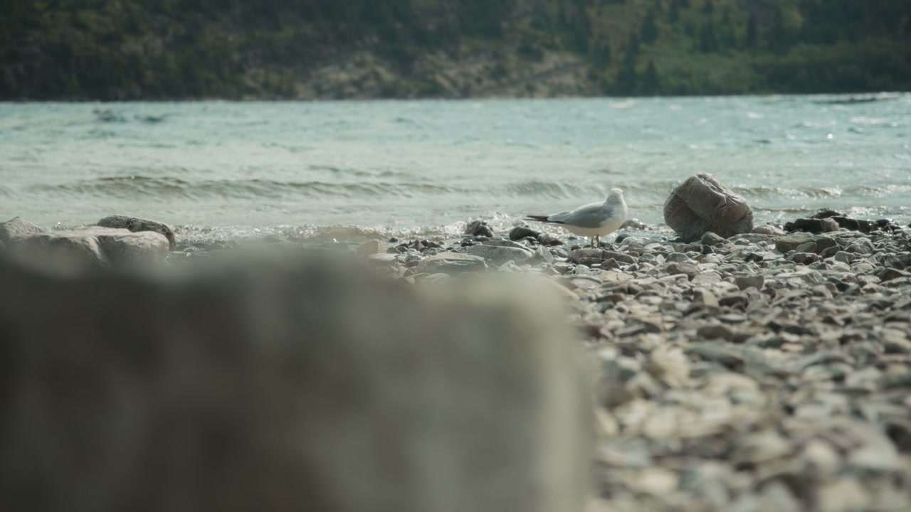 video preview