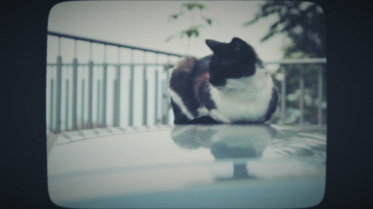 video preview