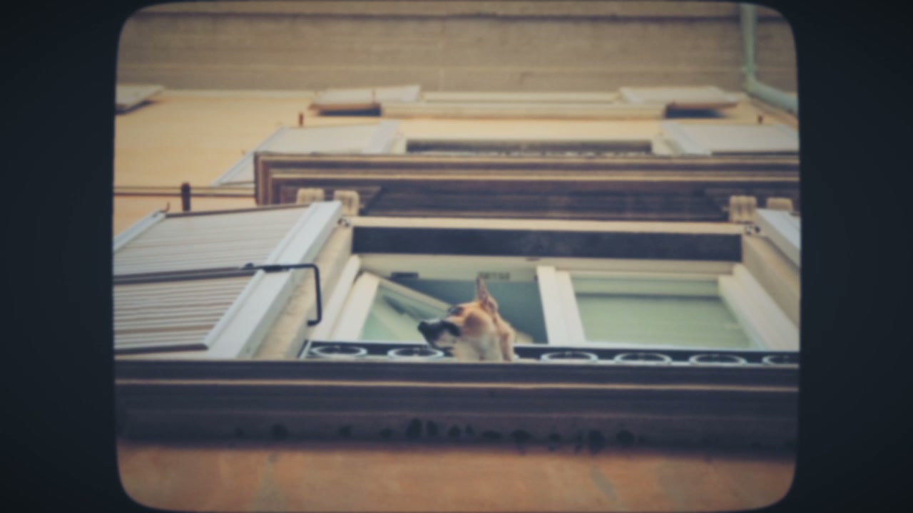 video preview