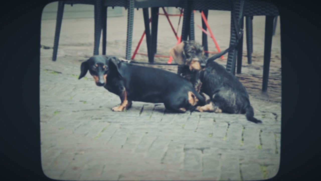 video preview