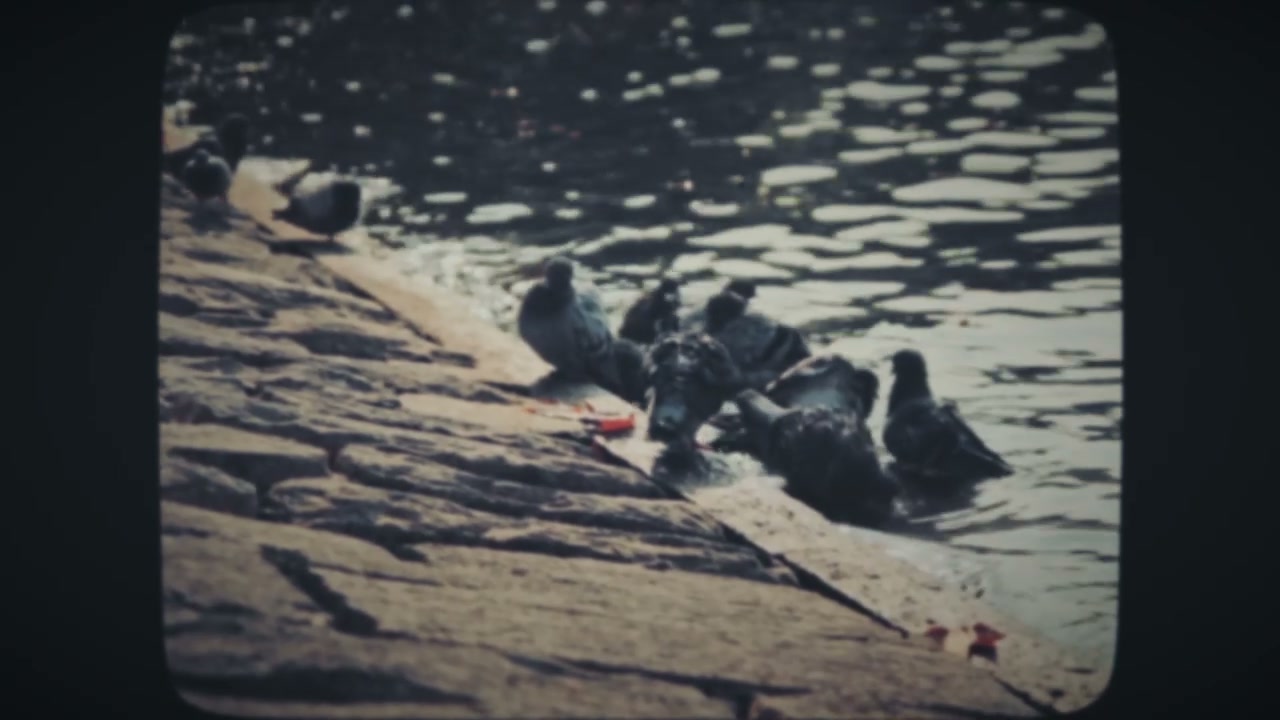 video preview