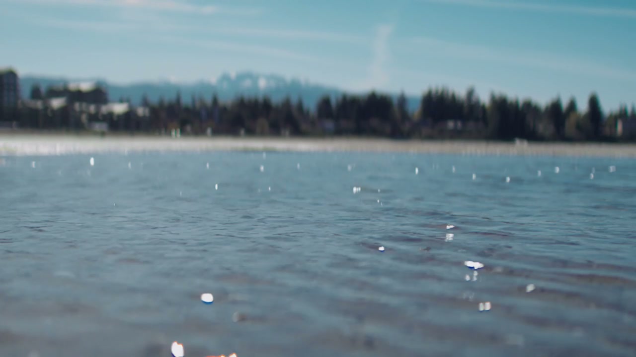 video preview