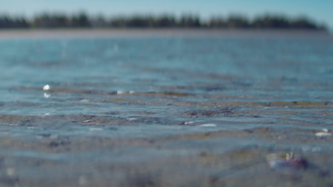 video preview