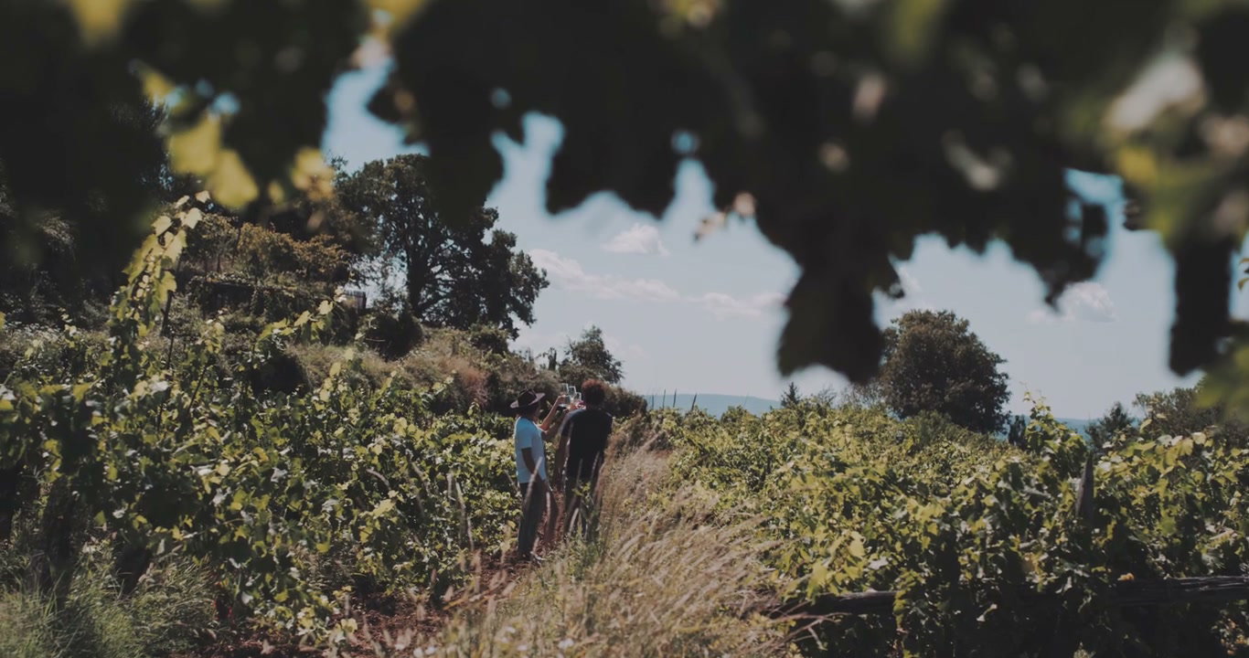 People in a Vineyard