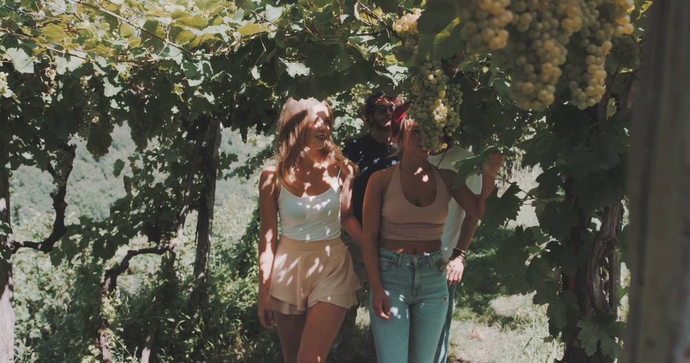video preview