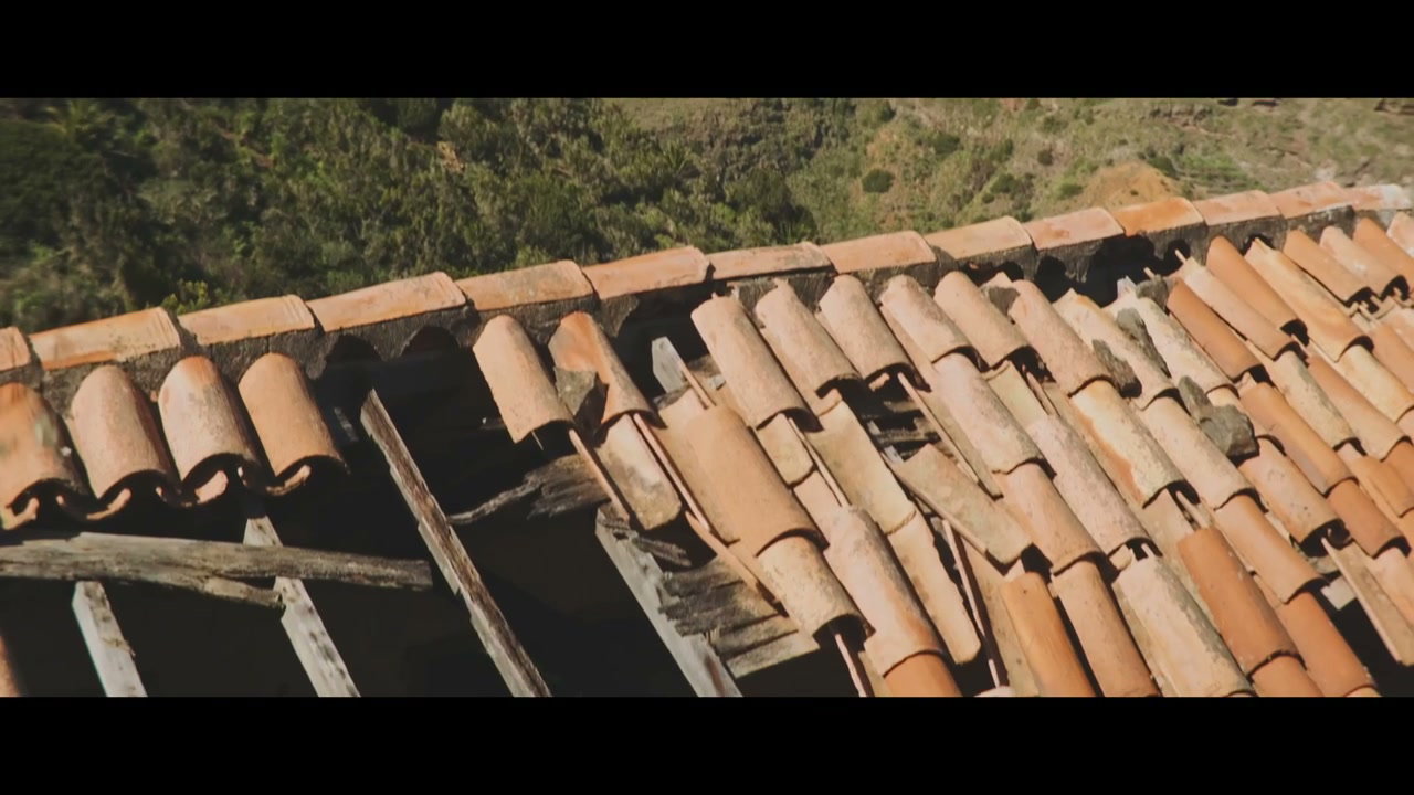Person Waving From Broken Roof