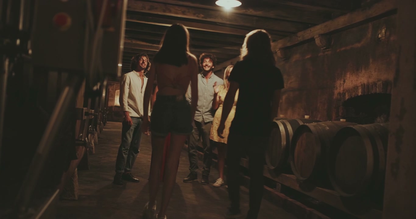 video preview