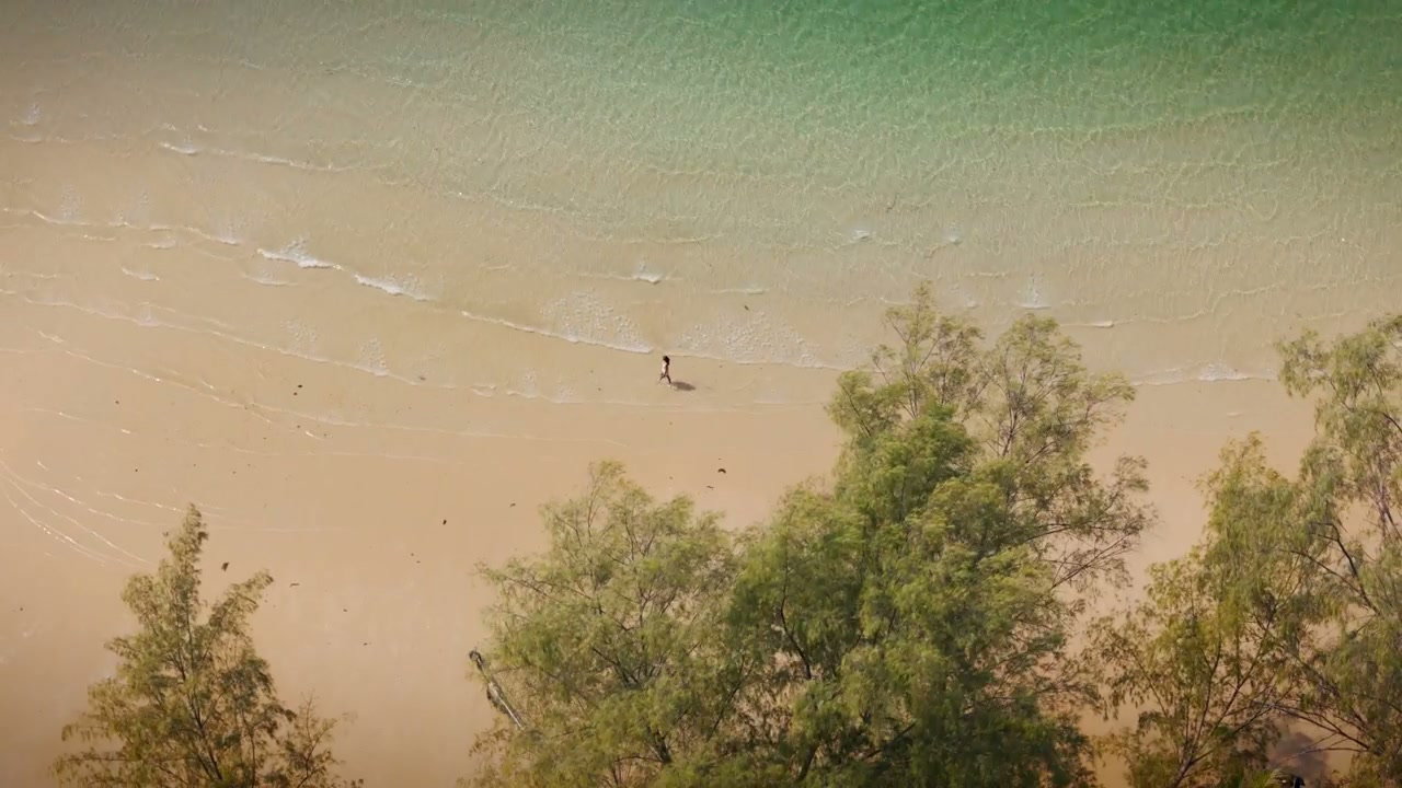 Aerial Tropical Beach Walk