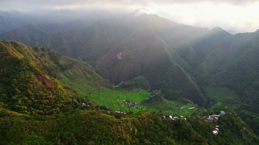 Green Ifugao Rice Terraces in Morning Light • Stock Video on Uppbeat