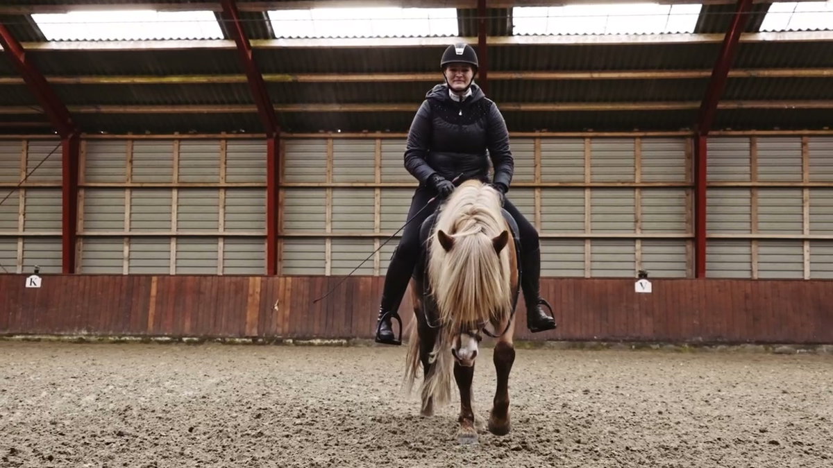 Horse and Rider in Indoor Riding Arena • Stock Video on Uppbeat