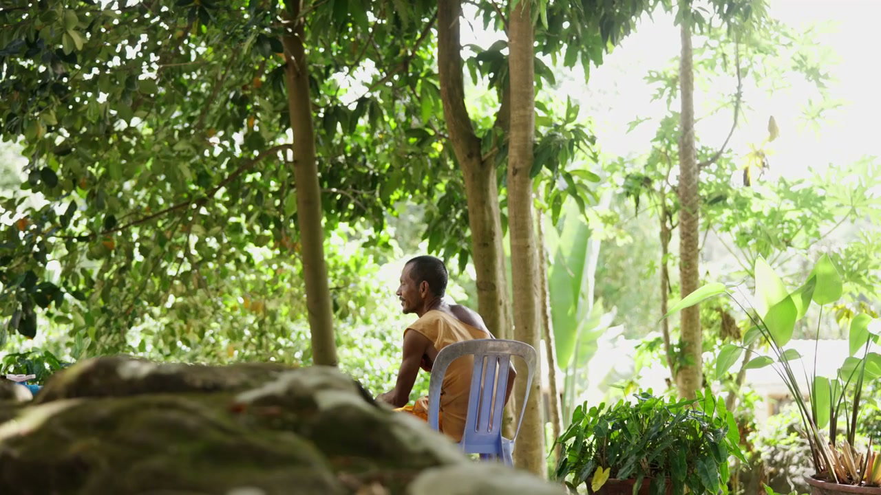 Buddhist Monk Sitting Among Trees