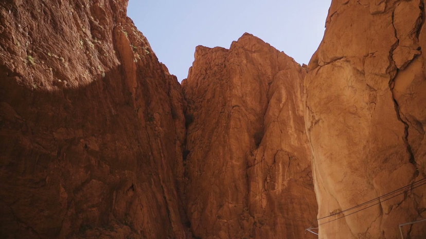 Dry Desert Bush in Grand Canyon Sandstone • Stock Video on Uppbeat
