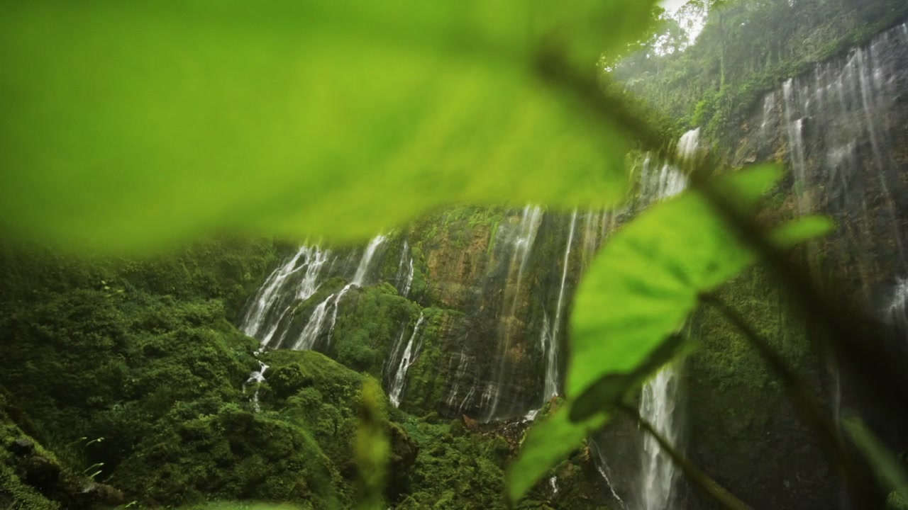 Tumpak Sewu Waterfalls in Lush Jungle