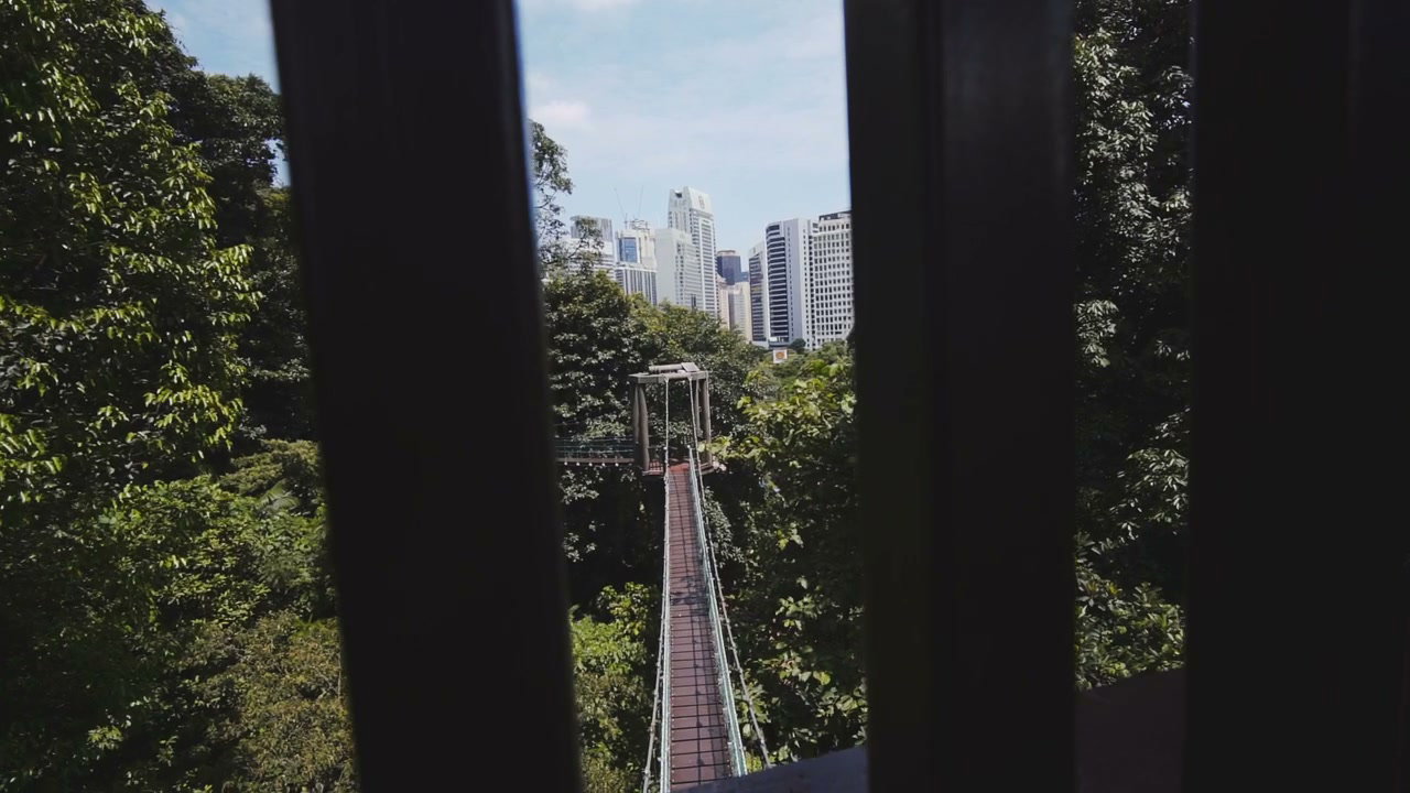 Kuala Lumpur Forest Canopy Walk